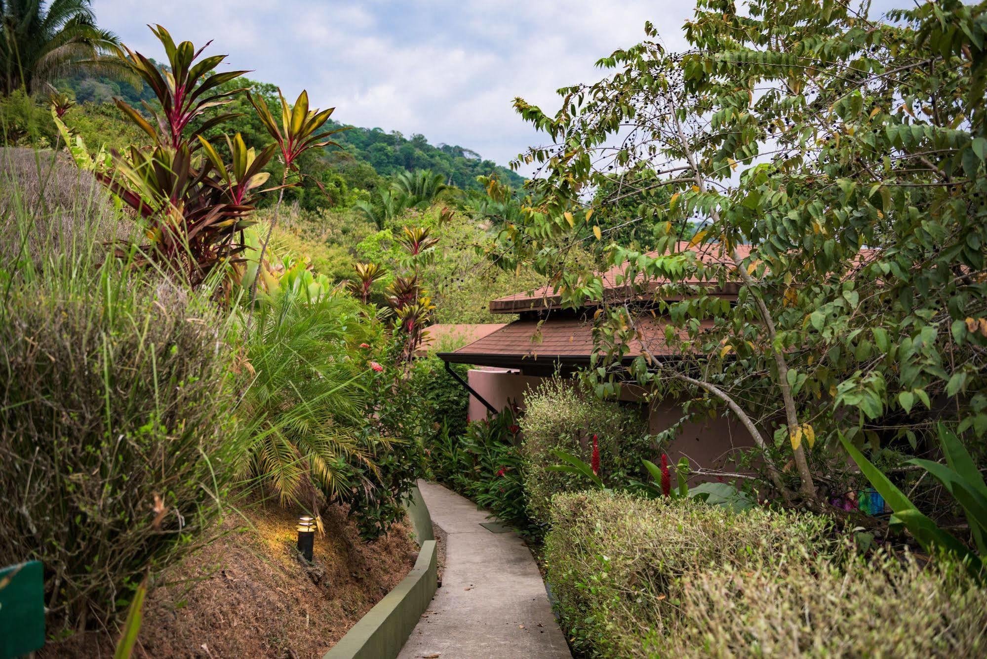 Tiki Villas Rainforest Lodge & Spa Uvita Exterior foto