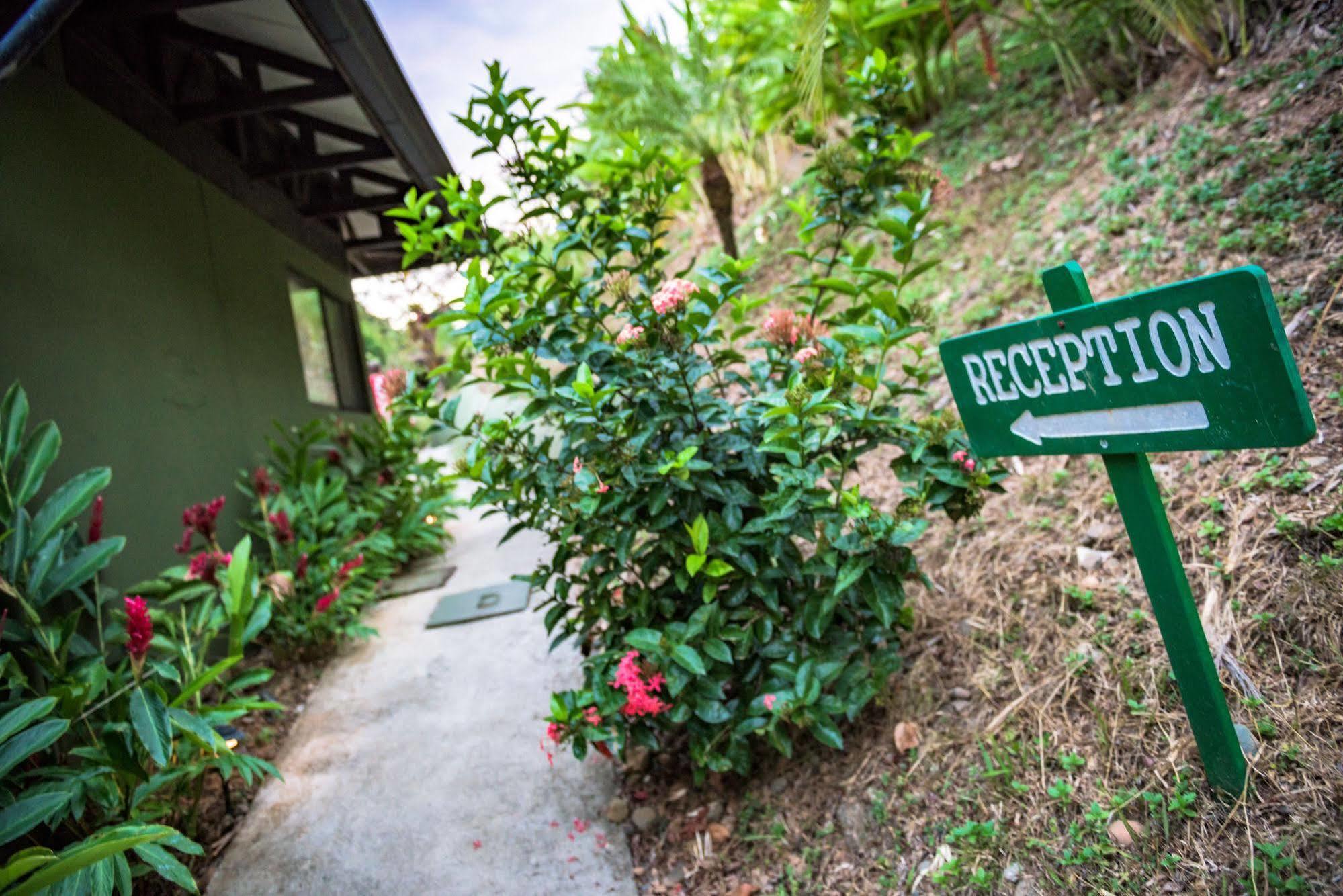 Tiki Villas Rainforest Lodge & Spa Uvita Exterior foto